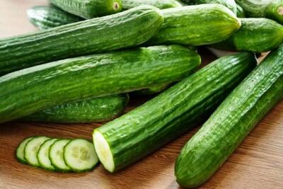 تلخی انتهای خیار، داروی ضد دیابت یا سم خطرناک؟