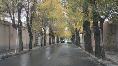 احتمال بارش های پراکنده باران در استان زنجان وجود دارد