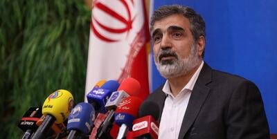 کمالوندی: ایران تسلیم فشارهای غرب نمی‌شود - روزنامه رسالت