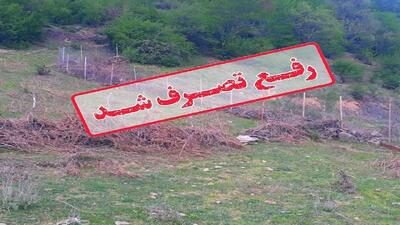 آزاد سازی اراضی ملی در منطقه بندپی غربی شهرستان بابل