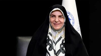مشاور رئیس جمهور : سرمایه‌گذاری باعث کاهش ریسک‌ها و رشد و توسعه اقتصادی می‌شود