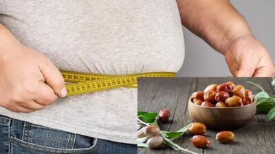 خواص سنجد برای لاغری / از کاهش اشتها تا افزایش متابولیسم