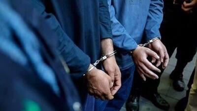 دستگیری ۲۰ سارق قاپزن و ۶ سارق جیب‌بر در تهران