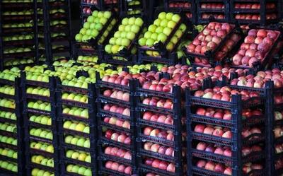 چرا میوه تنظیم بازاری گران تر است؟