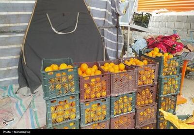 چرا میوه تنظیم بازاری گران تر است؟ - تسنیم