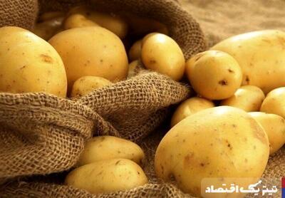 قیمت سیب زمینی از نیمه فروردین کاهش می یابد