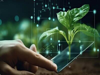 «اگرویار» پلتفرمی جامع برای کشاورزی دقیق و مدیریت هوشمند مزرعه