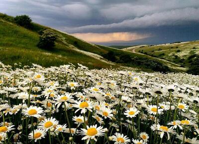 پایان هوای بهاری برای گردشگران گیلان  