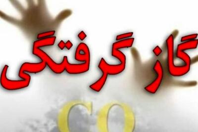 گازگرفتگی در یاسوج و دهدشت ۱۱ نفر را راهی بیمارستان کرد