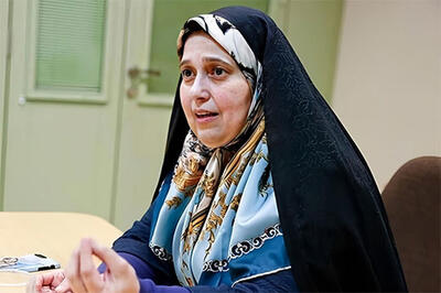 نماینده سابق، قانون حجاب را باتلاق خواند