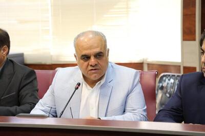 حمیدیان: فعالیت شورای معادن استان‌ها نیازمند بازنگری است
