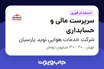 استخدام سرپرست مالی و حسابداری در شرکت خدمات هوایی نوید پارسیان