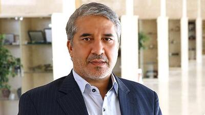 انارکی محمدی: مجلس موانع سرمایه‌گذاری برای تولید را برمی‌دارد