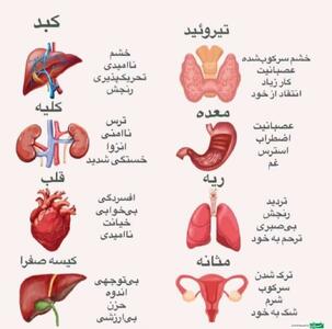 تأثیر احساسات بر سلامت بدن؛ کدام اندام‌ها بیشتر تحت تأثیر قرار می‌گیرند؟ - سبک ایده آل