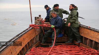 یک روز کاری با صیاد گیلانی
