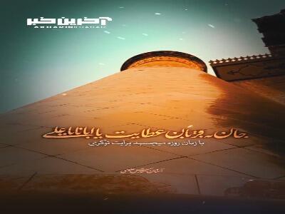 سلام بر شاه نجف امیرالمؤمنین(ع)