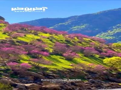 قابی از روستای ارغوان 