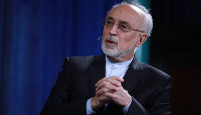 صالحی: خوشحالیم «اردوغان» به عظمت نوروز اذعان دارد
