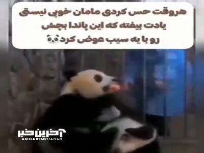 مادری که فرزندش را به سیب فروخت!