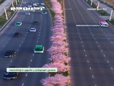 شکوفه‌های بهاری در پایتخت تاجیکستان