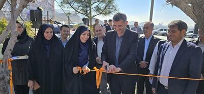 جشنواره بهارانه روستایی در آبیک گشایش یافت