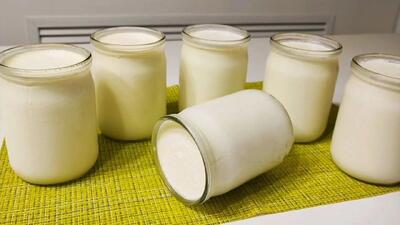 طرز تهیه ماست طبیعی سفت و قالبی در شیشه فقط با ۱ لیوان شیر