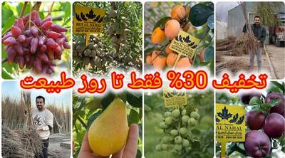 تخفیف ویژه 30 درصدی روز طبیعت برای ارقام نهال میوه هلو، شلیل، سیب، گیلاس، زردآلو، گردو و بادام در نهالستان بزرگ رویال نهال