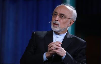 خوشحالیم که «اردوغان» اذعان به عظمت نوروز دارد و ملتش را بخشی از این آئین کهن می‌داند/ زبان فارسی در قلب نوروز است که از ایران تا دشت‌های آفتاب‌گیر آناتولی و سواحل بالکان جشن گرفته می‌شود / نوروز ریشه در فرهنگ، ادبیات و خرد یک تمدن دیرینه دارد