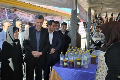 آغاز به‌کار جشنواره بهارانه روستایی در آبیک