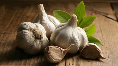 گیاهی با خواص دارویی شگفت‌انگیز از دوران باستان