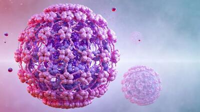 ویروس HPV خطر بیماری‌های قلبی را افزایش می دهد