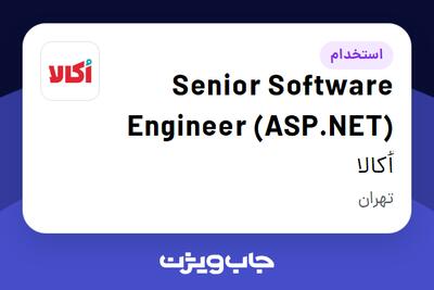 استخدام Senior Software Engineer (ASP.NET) در اُکالا