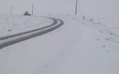 فیلم/ بارش برف بهاری در گلمکان