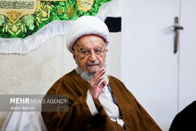 میزان زکات فطره از سوی آیت الله مکارم شیرازی اعلام شد