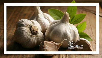 چرا مصرف سیر توصیه می‌شود؟