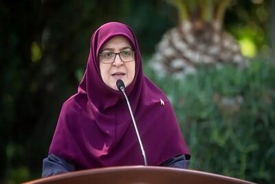 سخنگوی دولت: هدف مدیریت مصرف سوخت است، نه افزایش قیمت - تجارت‌نیوز