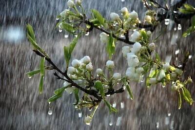 آغاز بارش‌های بهاری در همدان از روز جمعه