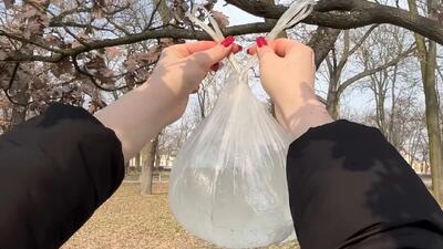 ترفند نگهداری از درختان باغ فقط با یک کیسه پر از آب