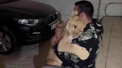 حیوان خانگی خطرناک قهرمان اسبق کشتی ایران روزی ۸ کیلو گوشت می‌خورد!