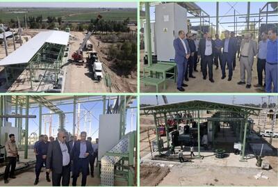 تأمین برق پایدار، ضامن استمرار تولید است/ سرمایه‌گذاری راهبردی نیشکر برای پایداری تولید/ظرفیت تولید برق نیشکری از ۱۰۰ مگاوات عبور می‌کند