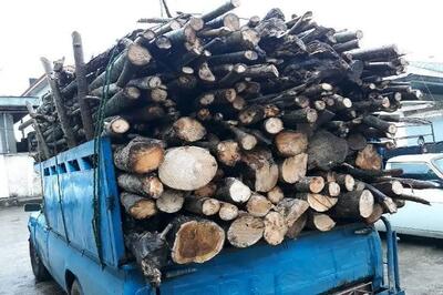 کشف ۶ هزار و ۵۰۰ کیلوگرم چوب قاچاق در رودبار