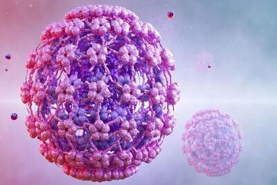 ارتباط ویروس HPV با افزایش خطر بیماری‌های قلبی