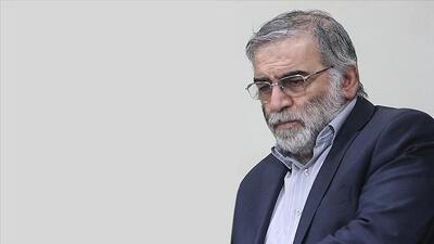 پاسخ معنادار شهید فخری‌زاده به سوالی درباره سلاح هسته‌ای