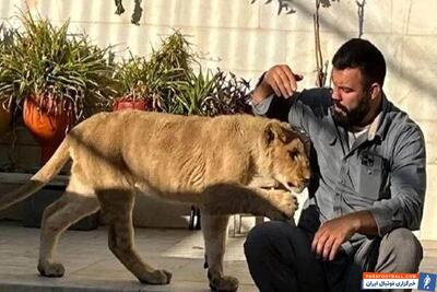 ماجرای نگه‌داری از توله شیر از زبان امیر علی اکبری: لئو دزدگیر خانه پدرم بود - پارس فوتبال