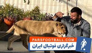 ماجرای توله شیری که دزدگیر خانه قهرمان کشتی فرنگی جهان بود - پارس فوتبال