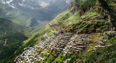 اگر در نوروز به کردستان رفتید مراقب حمله عقرب ها باشید.+فیلم