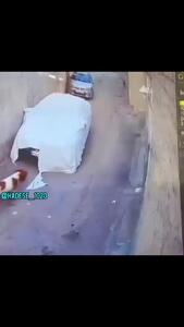 حمله مرموز سگ به خودرو در لارستان / دوربین همه چیز را ثبت کرد