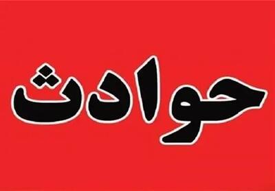 خودرو با حیوان اهلی اصابت کرده است | خودرو در جاده دیلم آسیب دید اندیشه معاصر