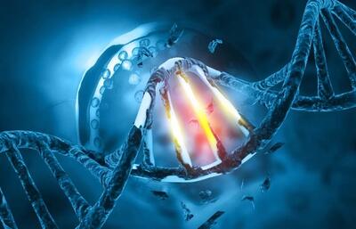 توقف متاستاز سلول های سرطانی با ترمیم DNA
