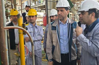 ارغوان‌گستر ایلام در مسیر راه اندازی